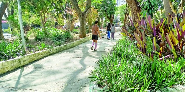 Maior Bruscheta do Mundo quebra recorde em evento beneficente