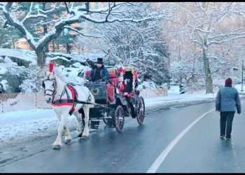 Mostra ‘Cidades em Movimento’ ocupa o Centro Cultural Correios