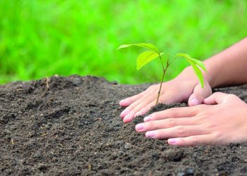 1ª Conferência Municipal do Transtorno do Espectro Autista (TEA)