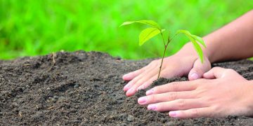 1ª Conferência Municipal do Transtorno do Espectro Autista (TEA)