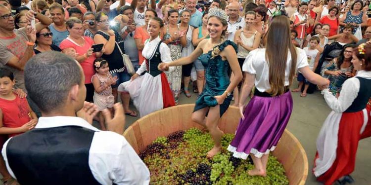 “Festa da Uva” termina no próximo domingo, dia 4