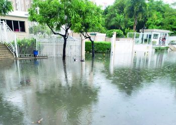Projetos de macrodrenagem estão em andamento na Rua Arnaldo Cintra
