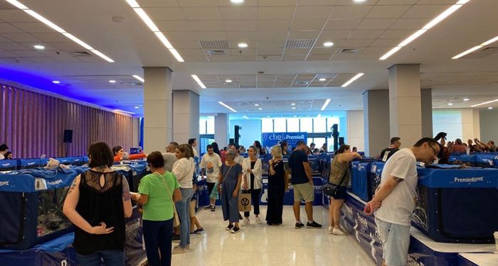 Maior encontro de gatos da América Latina acontece em São Paulo neste fim de semana