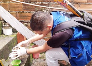 Portal ‘Dengue 100 dúvidas’ leva informações detalhadas