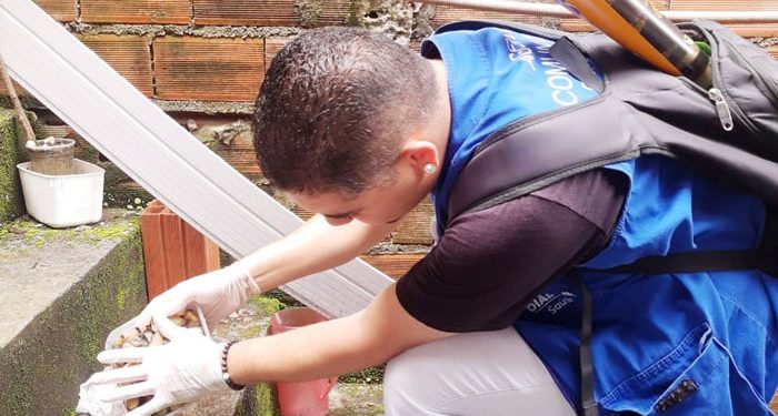 Portal ‘Dengue 100 dúvidas’ leva informações detalhadas