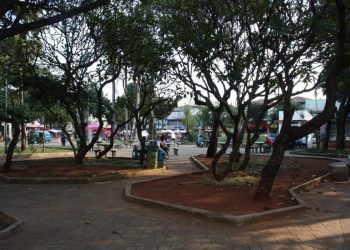 Secretaria admite: não há como apontar os ‘infratores do lixo’ na Silvio Romero