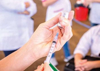 Vacinação deve atender idosos, crianças, gestantes e trabalhadores