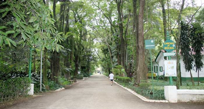 Conselho do Meio Ambiente terá trabalho difícil, mas Tatuapé precisa de verde