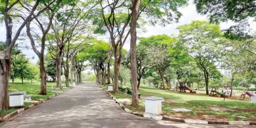 É hora de ampliar a ciclovia do Ceret para as alamedas internas?