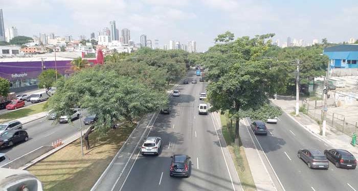 Moradores sugerem ciclofaixa na Avenida Salim Farah Maluf, Tatuapé