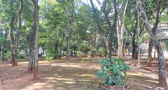 Praça Barão de Itaqui, no Tatuapé, continua esperando por melhorias