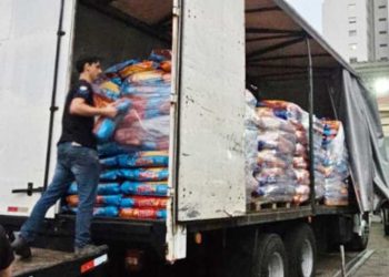 Caminhão de ração transportava 479 tijolos de maconha