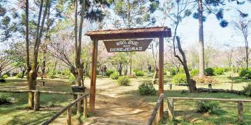 Festa das Cerejeiras