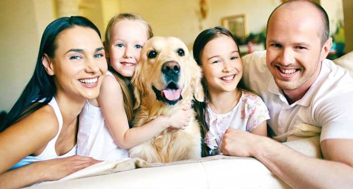 Animais em Condomínios: a reforma do Código Civil – um novo paradigma legal