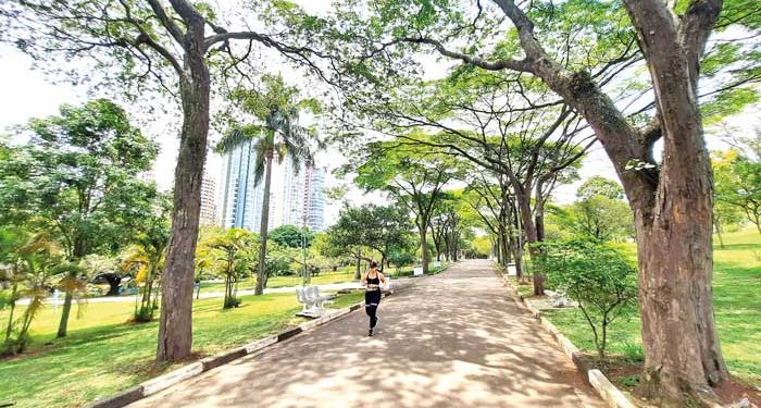 Excesso de telas dobra o risco de atrasos na coordenação motora