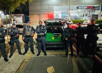 Polícia Militar apreende mais de 200 quilos de maconha no Parque São Jorge