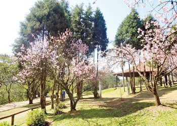 Parque do Carmo: Opção de lazer na Zona Leste