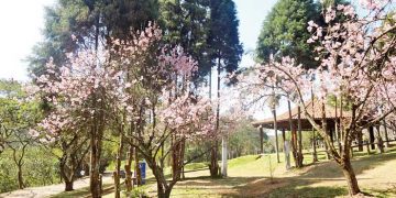 Parque do Carmo: Opção de lazer na Zona Leste