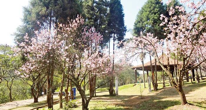 Parque do Carmo: Opção de lazer na Zona Leste