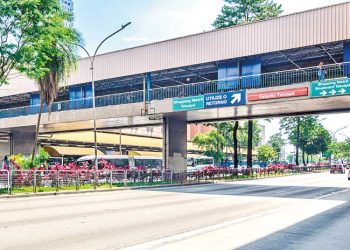 Exposição ‘Plantando Cultura’: Iniciativa cultural estreia sua mostra em novembro