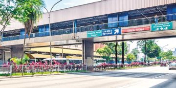 Exposição ‘Plantando Cultura’: Iniciativa cultural estreia sua mostra em novembro