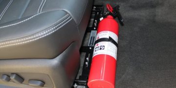 Volta do uso obrigatório em carros está em estudo