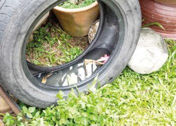 Curso desenvolve a criatividade e visa o mercado da moda para mulheres