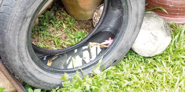 Curso desenvolve a criatividade e visa o mercado da moda para mulheres