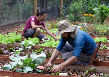 Prefeitura de São Paulo assina documento com a ONU Mulheres