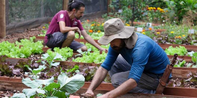 Prefeitura de São Paulo assina documento com a ONU Mulheres