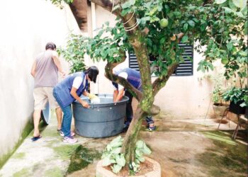 São Paulo já realizou 1,3 milhão de açõesde combate à dengue em 2025