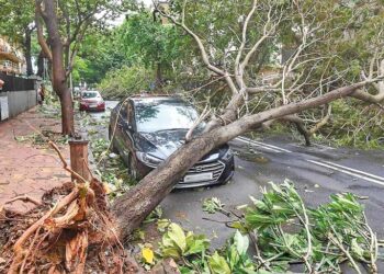 Prefeitura de São Paulo assina documento com a ONU Mulheres