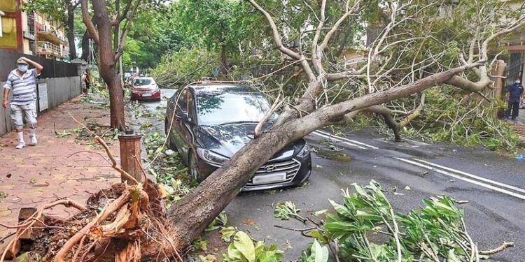 Prefeitura de São Paulo assina documento com a ONU Mulheres