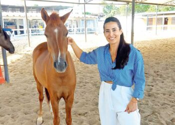 Cenha tem nova diretoria para o biênio 2025/2027