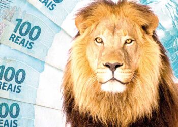 Prazo de declaração do Imposto de Renda já tem data definida