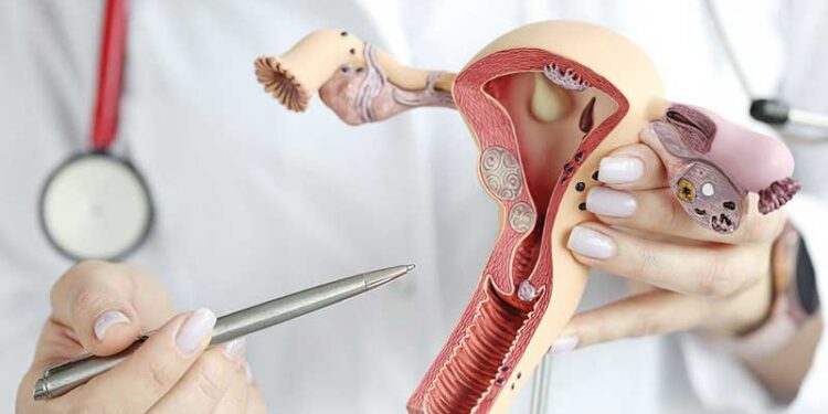 Campanha “Março Lilás” alerta para a prevenção de câncer de colo de útero