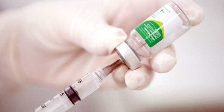 Vacinação contra gripe para todo público acima de seis meses