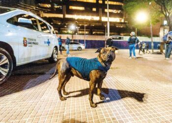 Acordo entre sócios evita conflitos e protege empresas