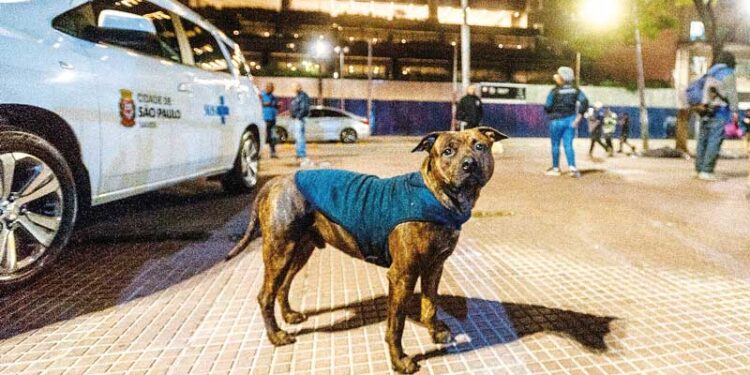 Acordo entre sócios evita conflitos e protege empresas