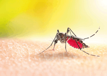 Associação Comercial empossa nova diretoria da Distrital Tatuapé