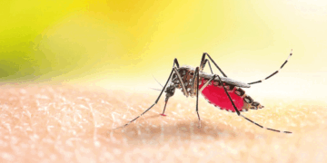 Associação Comercial empossa nova diretoria da Distrital Tatuapé