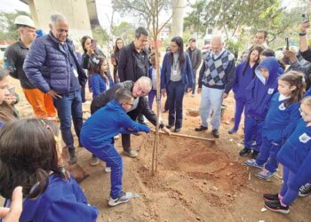 DESENVOLVE SP – Ampliação do teto do Crédito Simplificado para R$ 700 mil