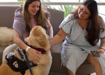 Cãoterapia transforma rotina de pacientes no São Luiz Anália Franco