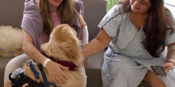 Cãoterapia transforma rotina de pacientes no São Luiz Anália Franco