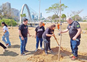 TATUAPÉ 357 ANOS: Comunidade se reúne para deixar o bairro mais verde
