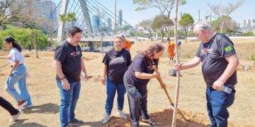 TATUAPÉ 357 ANOS: Comunidade se reúne para deixar o bairro mais verde