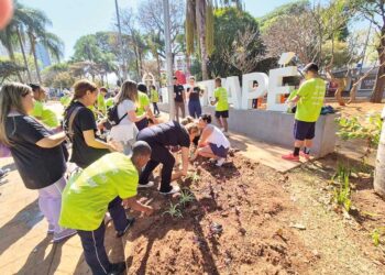 TATUAPÉ 357 ANOS: Praça Sílvio Romero ganha três mil mudas de plantas ornamentais