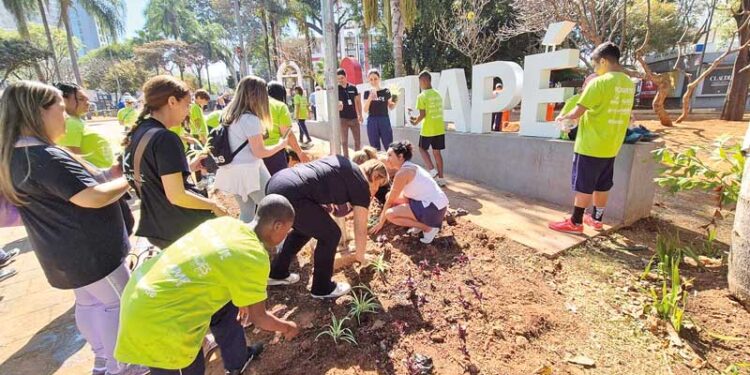 TATUAPÉ 357 ANOS: Praça Sílvio Romero ganha três mil mudas de plantas ornamentais