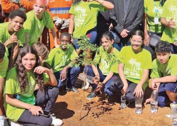 Padocaria-SP chega ao quinto ano com novas categorias