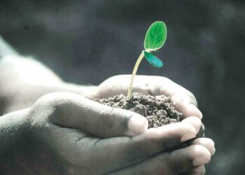 15ª EDIÇÃO DA VIRADA SUSTENTÁVEL: Segurança alimentar e nutricional